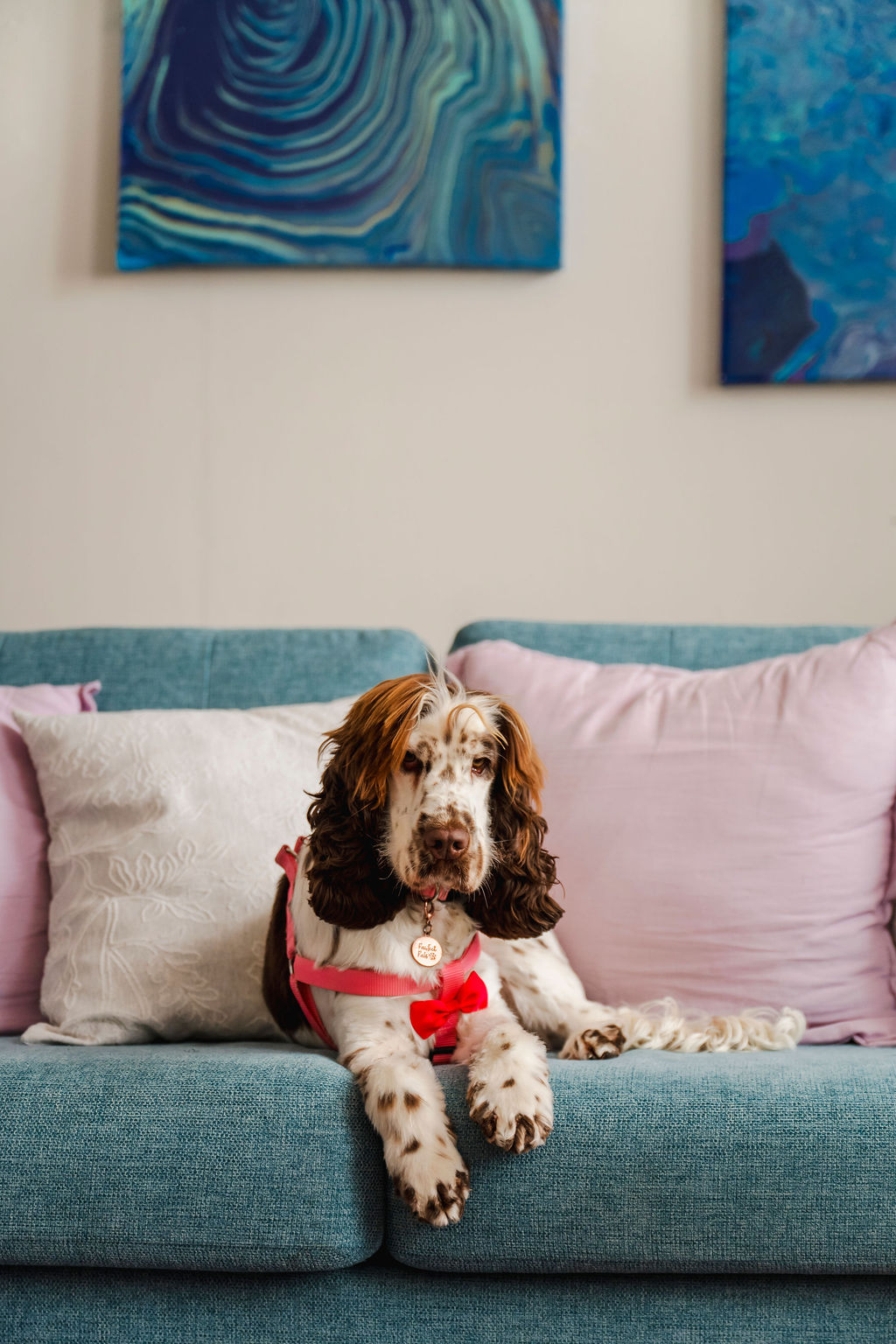 Appointments | Melinajbw Counselling