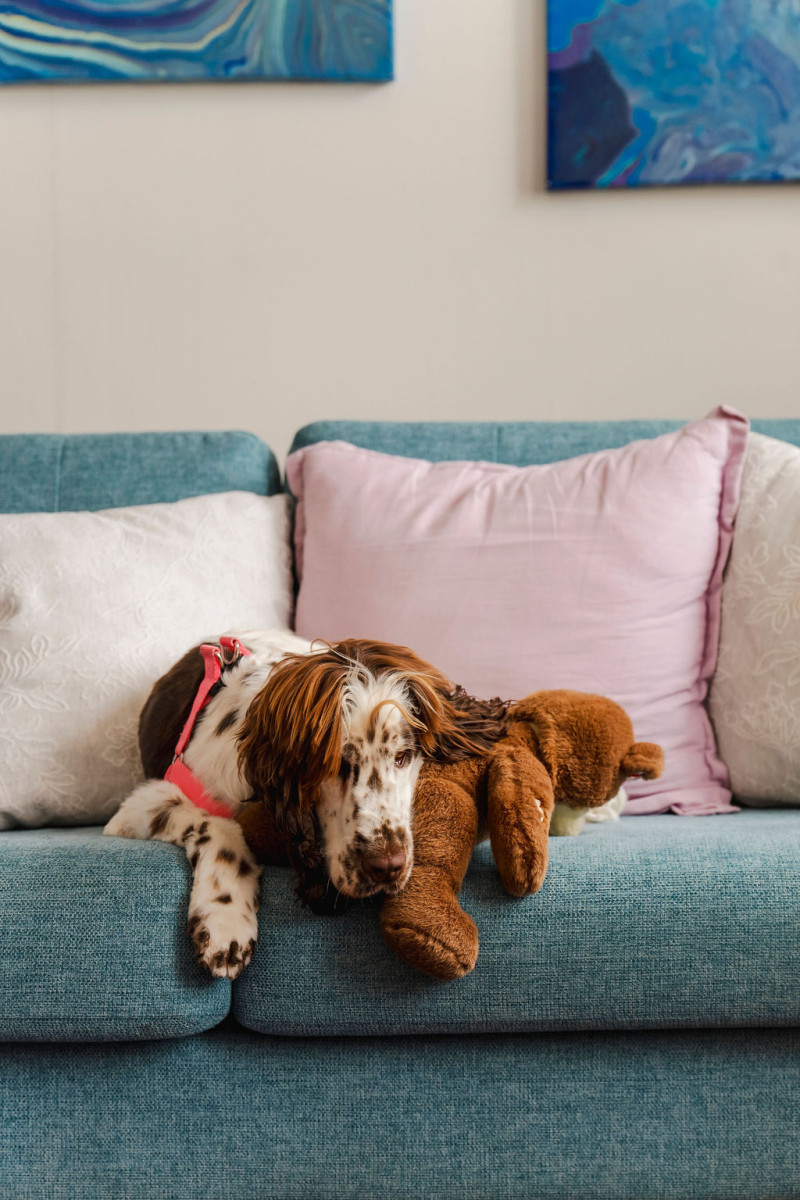 Supporting Yourself, Your Family and Your Children