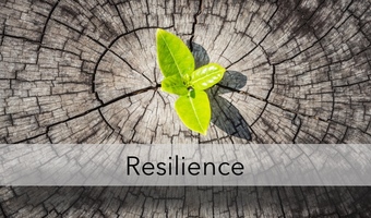 resilience