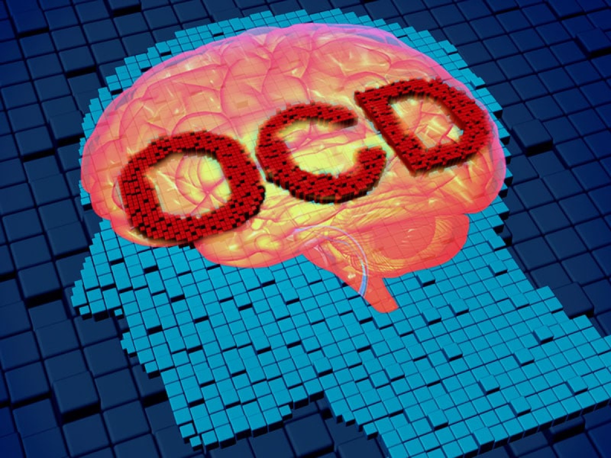 Neuroscience and Research Blog OCD